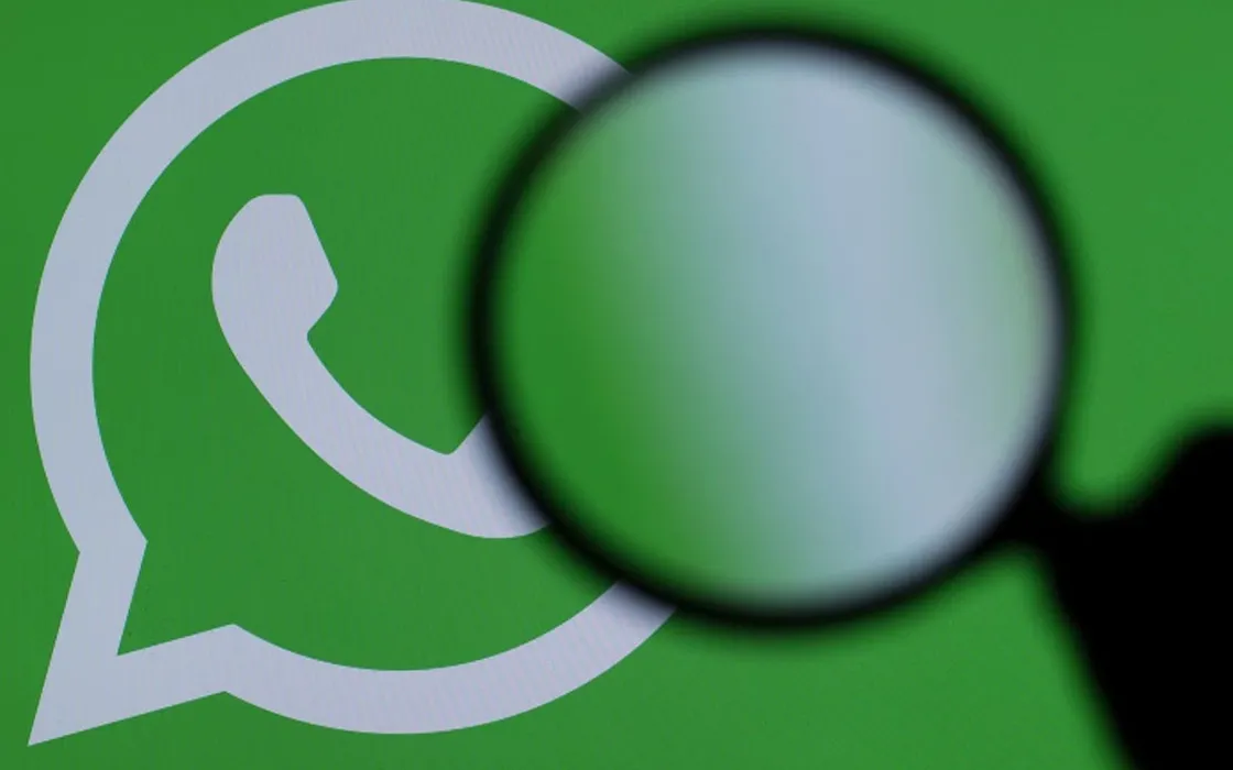 il chat media hub di whatsapp rivoluzione nella gestione dei contenuti multimediali 